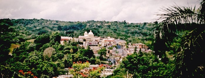 Municipio De Lares: Ciudad Del Grito is one of Must Go's in Puerto Rico.