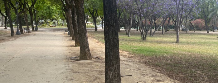Parque Amate is one of Sevilla.