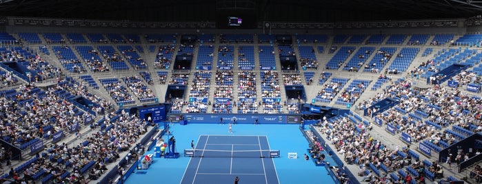 Ariake Colosseum is one of スポーツ競技場.