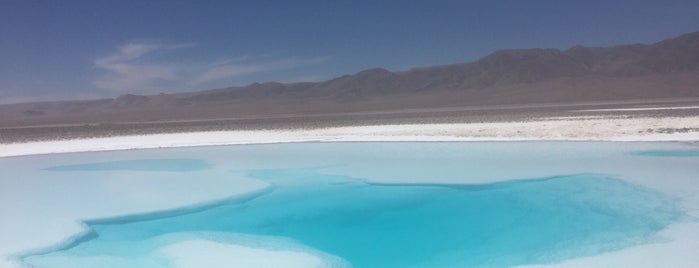 Laguna Escondida, San Pedro de Atacama is one of Tempat yang Disukai Carolina.