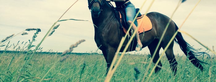 КСК Western Horse is one of Иннолово.