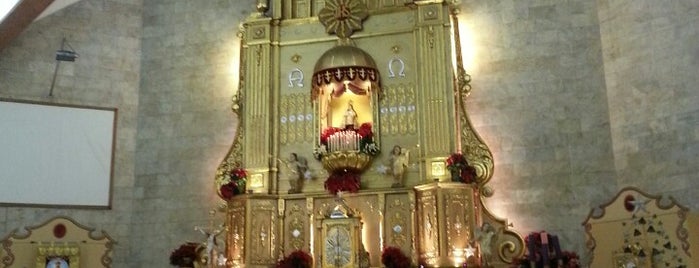 Diocesan Shrine of Santo Niño is one of Diocese of Cubao.