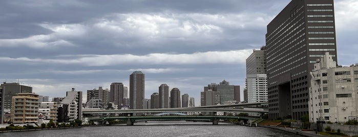 Kiyosu Bridge is one of 東京の橋.