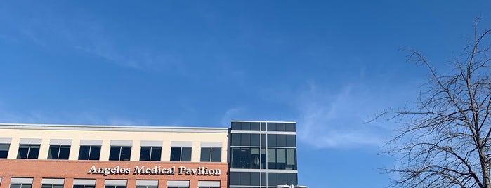 Angelos Medical Pavilion At St. Agnes is one of Local.