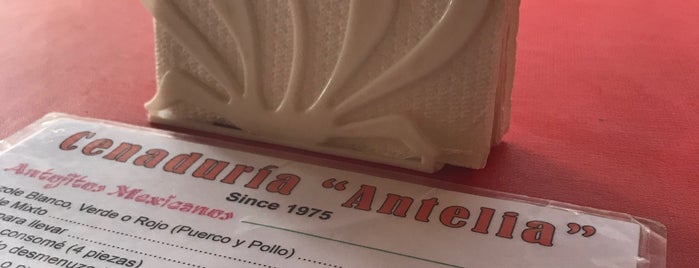 Cenaduria Antelia is one of Posti che sono piaciuti a Jesús Ernesto.