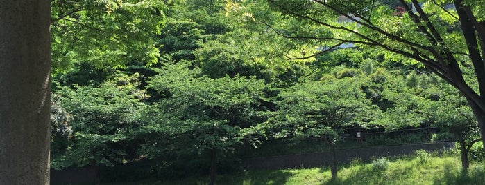 山手見晴らし公園 is one of 横浜散歩.