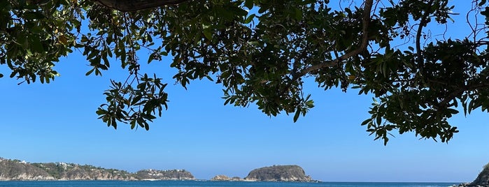 Playa Tornillo is one of Oaxaquita.