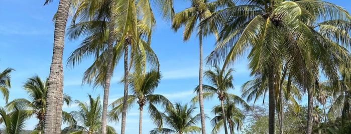 Las Brisas Huatulco is one of CDMX, Taxco y Huatulco.