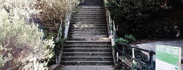 22nd Street Jungle Stairs is one of Locais curtidos por Erin.