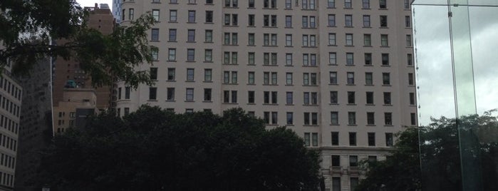 The Plaza Hotel is one of New York🗽🌃.