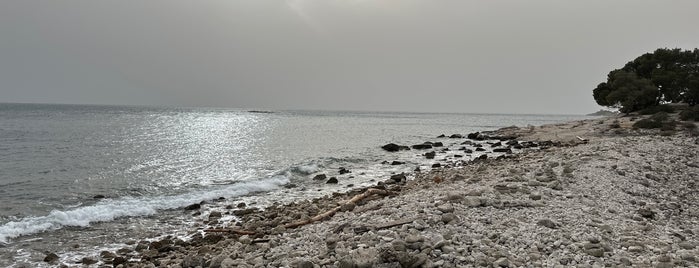 Punta Corrente (Zlatni Rt) is one of Istria.