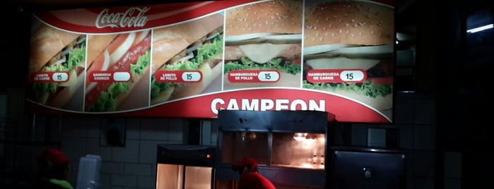 Pollo Campeón is one of Food.