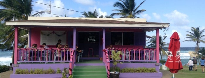 Dina's Bar & Cafe is one of Barbados.
