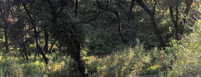 Backbone Trail is one of Orte, die eric gefallen.