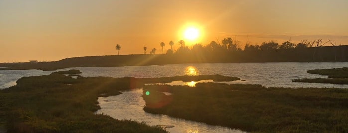 Bolsa Chica Conservancy is one of Michaelさんのお気に入りスポット.
