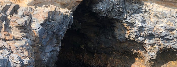 Abalone Cove Beach is one of Tempat yang Disukai Michael.