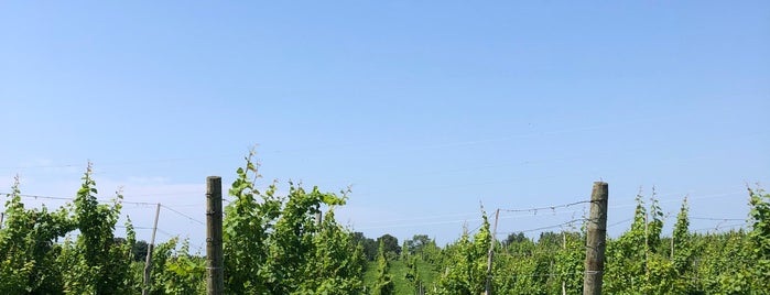 Round Barn Winery, Distillery & Brewery Estate is one of Michael’s Liked Places.