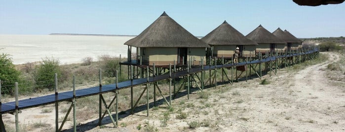Onkoshi Lodge is one of Namibia 🇳🇦.