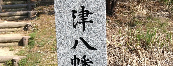 古津八幡山遺跡 is one of jdash2000さんのお気に入りスポット.