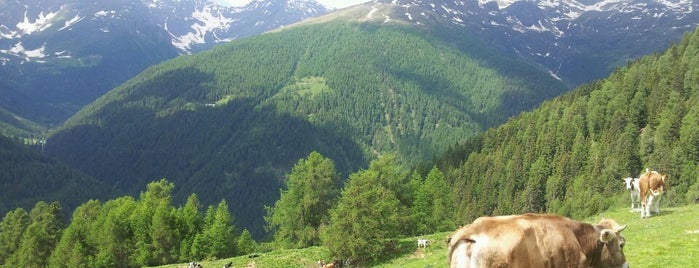 Parco Nazionale Dello Stelvio is one of Eventi e attività Estate.