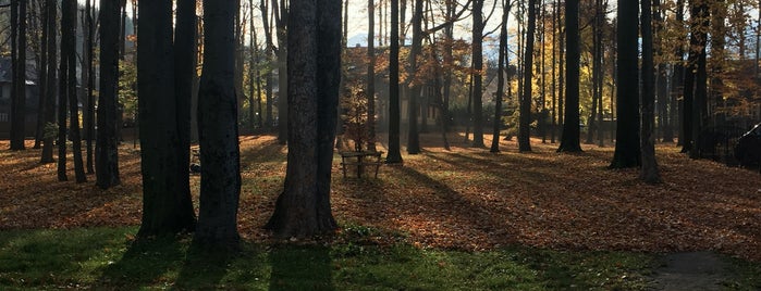 Park im. prof. Lecha Kaczyńskiego is one of Zakopane.