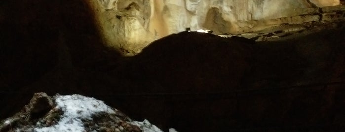 Пещера Трехглазка is one of สถานที่ที่ Lena ถูกใจ.
