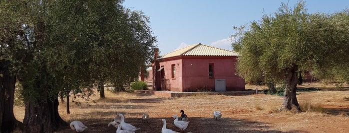 Eumelia Organic Agrotourism Farm & Guesthouse is one of Clemens'in Beğendiği Mekanlar.
