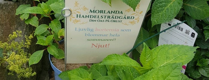 Morlanda Handelsträdgård is one of Bästkusten, Bohuslän.