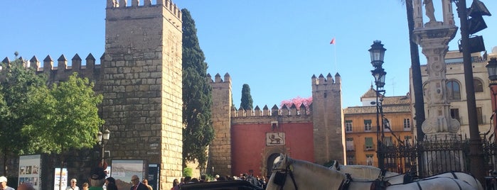 Plaza Virgen de los Reyes is one of Seville, Spain.