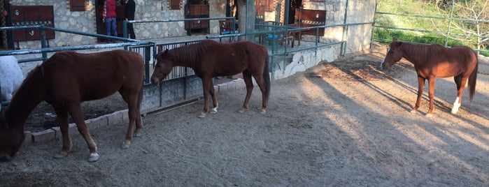 Desperado Horse Ranch is one of Çiftlik.