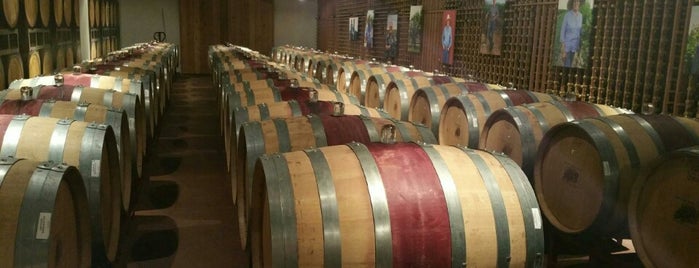 Becker Vineyards is one of Texas Wine.