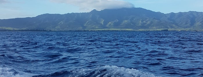 Hawaii Shark Encounters is one of Honolulu.