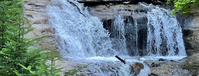 Sable Falls is one of Waterfalls.