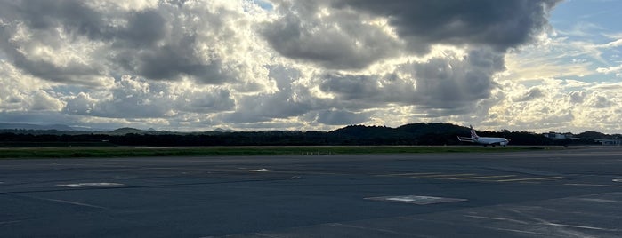 Gold Coast Airport (OOL) is one of internatiınal airport.
