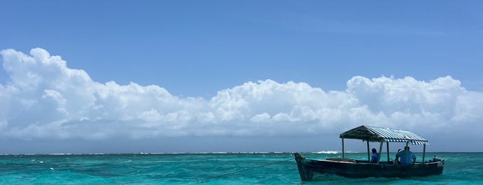 Mnemba Island is one of Zanzibar.