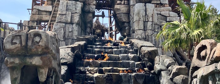 Raging Spirits is one of Tokyo Disney Sea.