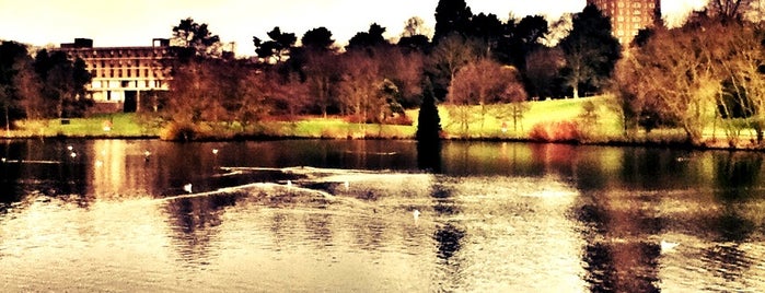 The Vale Lake is one of Places to Walk/Jog/Run around Harborne & Edgbaston.