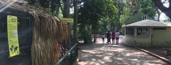 Parque Zoológico del Centenario is one of Mérida.