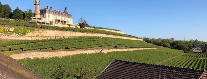 Rouffach is one of Lieux qui ont plu à Mikhael.