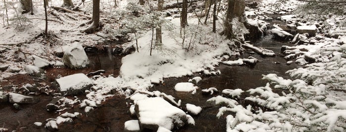 Indian Head Mountain Loop is one of Glenda'nın Kaydettiği Mekanlar.