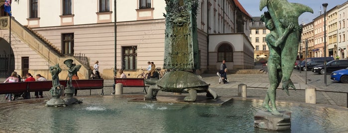 kašna Hygie/Hygie fountain is one of Olomoucké kašny / historical fountains of Olomouc.