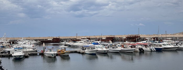 Al Bustan Beach is one of Muscat.