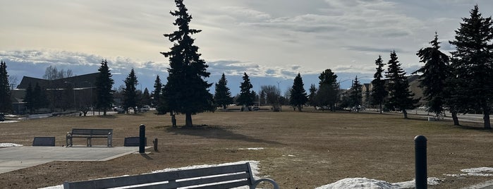 Delaney Park Strip is one of Anchorage.