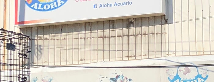 Acuario Aloha is one of Locais curtidos por Adán.