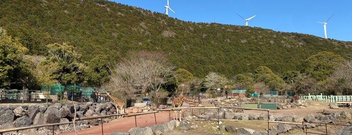 Izu Animal Kingdom is one of Must-go aquariums and zoos.