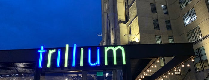 Trillium Fenway is one of Best Breweries in the World 3.
