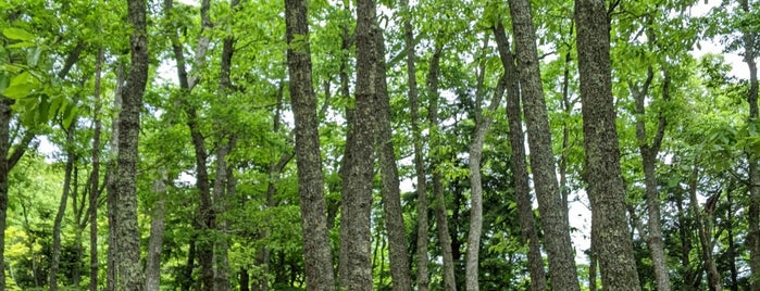 小谷城跡 is one of 日本 100 名城.