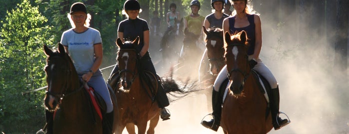 Izbraucieni ar zirgiem is one of Izziņas un radošais tūrisms.
