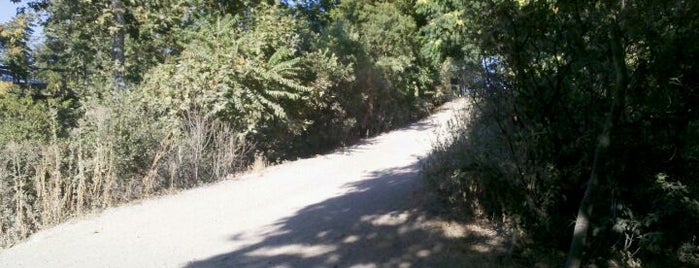 Los Gatos Creek Trail is one of Posti che sono piaciuti a Jesse.