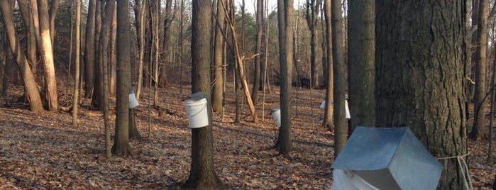 Blandford Nature Center is one of Grand Rapids Area Parks.